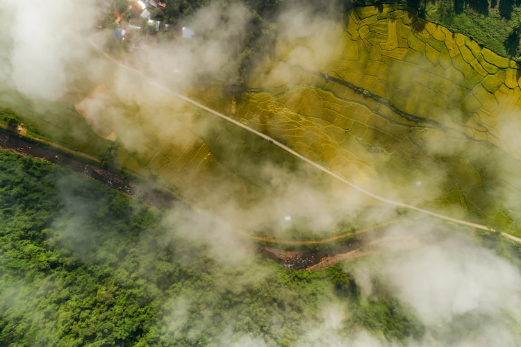 An aerial view of the amazon rainforest 